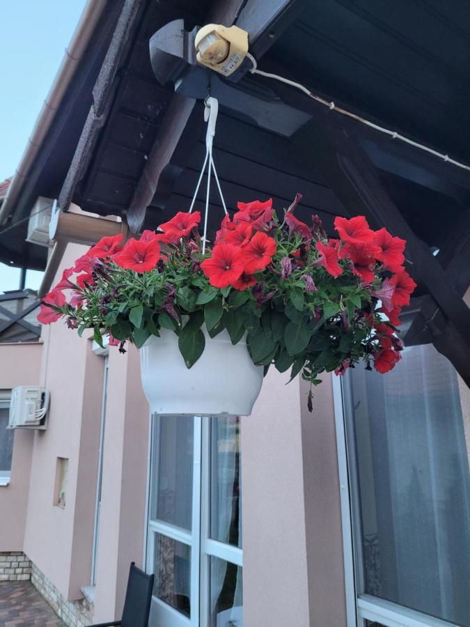Hotel Anda Vendeghaz Harkan Exterior foto