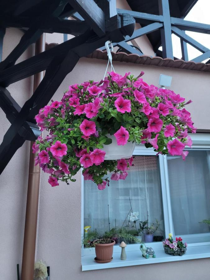 Hotel Anda Vendeghaz Harkan Exterior foto